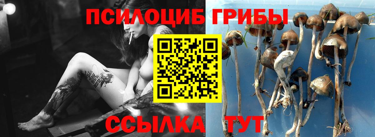 Псилоцибиновые грибы прущие грибы  Вход с VPN  Галлюциногенные грибы MAGIC MUSHROOMS  Кунгур 